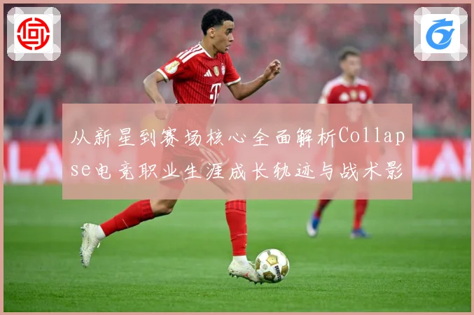 从新星到赛场核心全面解析Collapse电竞职业生涯成长轨迹与战术影响力