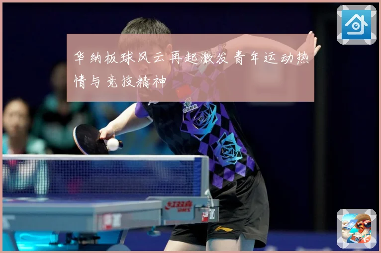 华纳板球风云再起激发青年运动热情与竞技精神